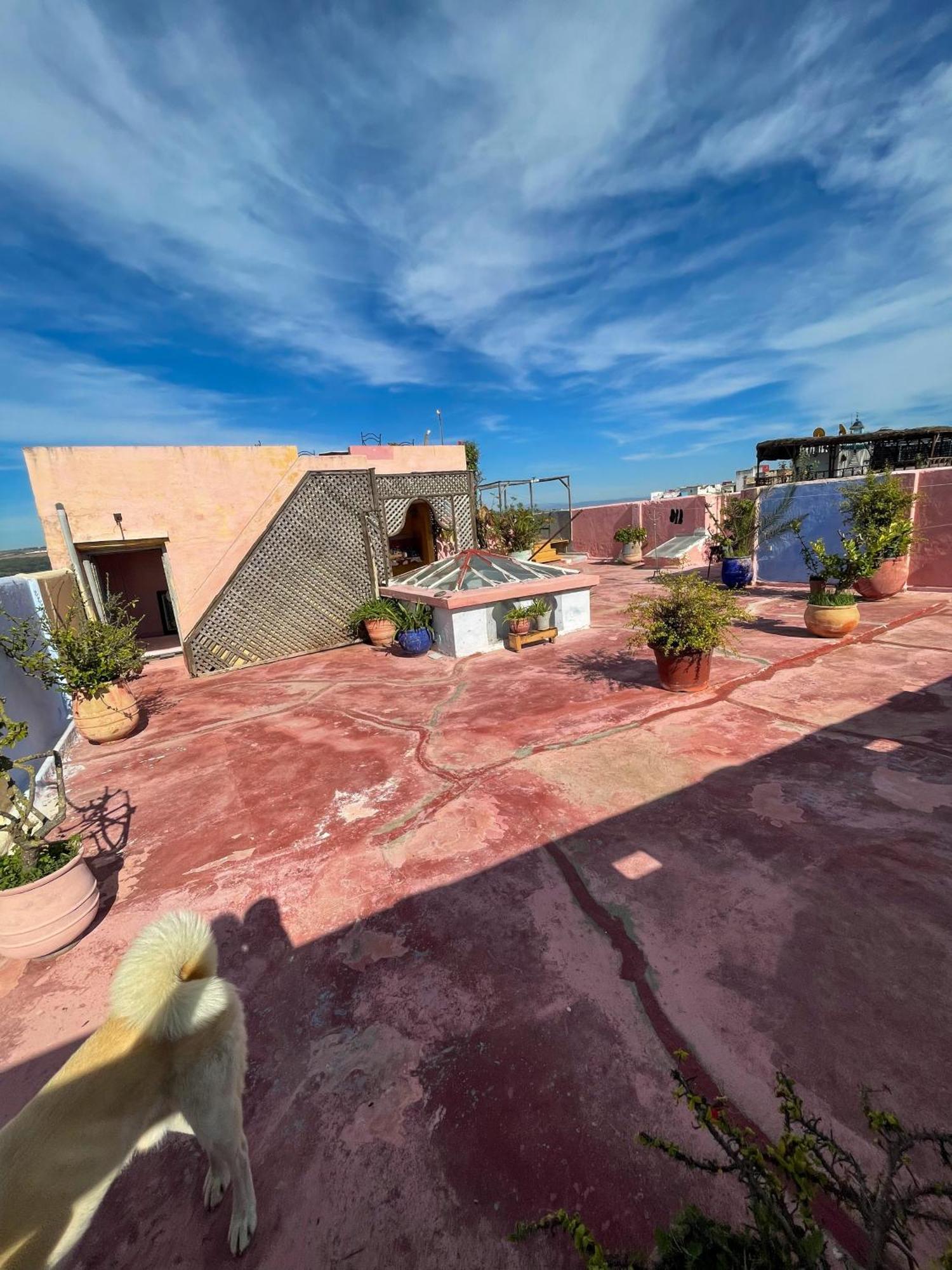 La Maison Haute Larache Morocco Dış mekan fotoğraf
